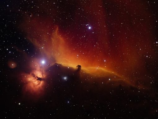 Horsehead Nebula in Synthetic Color