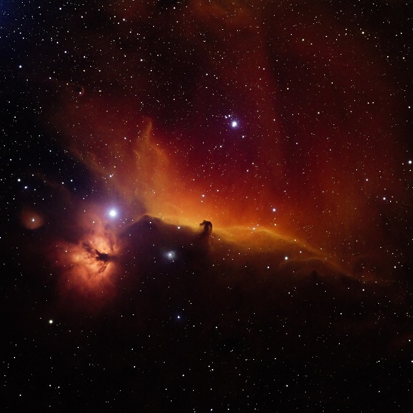 Horsehead Nebula in Synthetic Color
